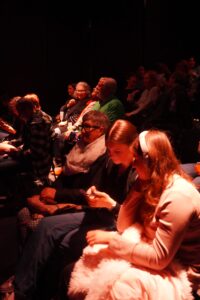 Audience at the theatre
